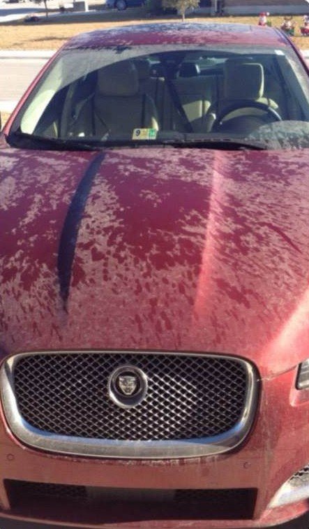 Before Paint Correction