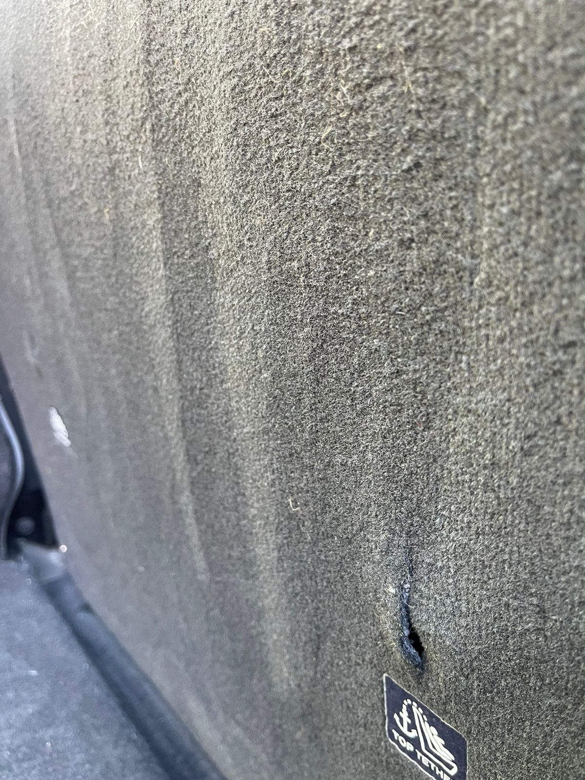 After Pet Hair Removal